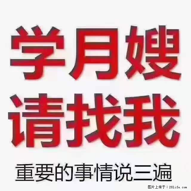 为什么要学习月嫂，育婴师？ - 其他广告 - 广告专区 - 柳州分类信息 - 柳州28生活网 liuzhou.28life.net