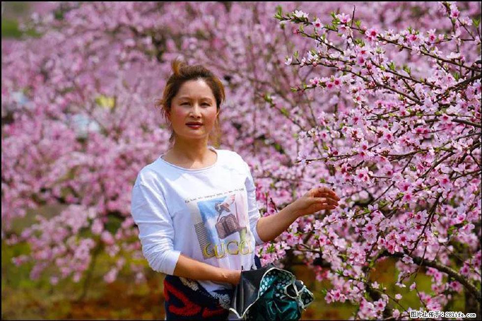 【春天，广西桂林灌阳县向您发出邀请！】官庄村有个醉美的桃花园 - 游山玩水 - 柳州生活社区 - 柳州28生活网 liuzhou.28life.net