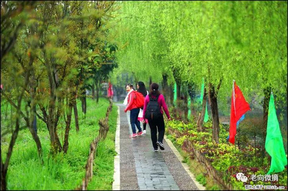 【春天，广西桂林灌阳县向您发出邀请！】江口老街又逢春 - 游山玩水 - 柳州生活社区 - 柳州28生活网 liuzhou.28life.net
