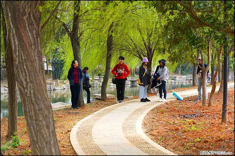 【春天，广西桂林灌阳县向您发出邀请！】江口老街又逢春 - 游山玩水 - 柳州生活社区 - 柳州28生活网 liuzhou.28life.net