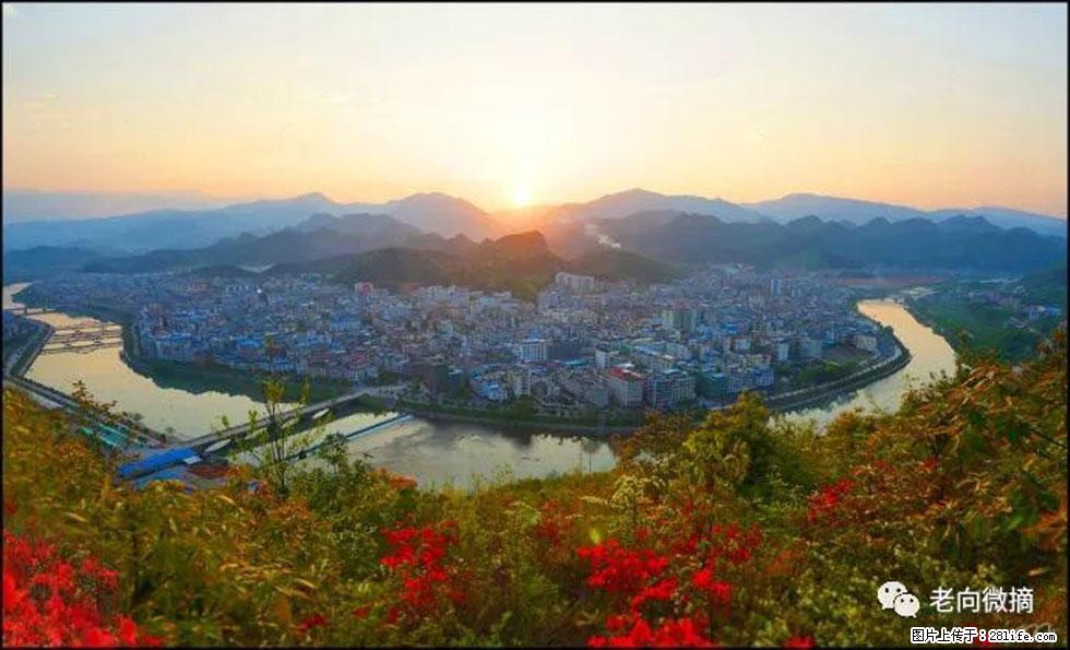 【春天，广西桂林灌阳县向您发出邀请！】登麒麟山，相约映山红 - 游山玩水 - 柳州生活社区 - 柳州28生活网 liuzhou.28life.net