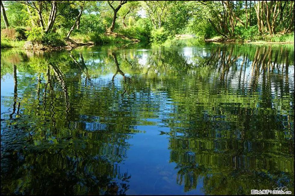 【春天，广西桂林灌阳县向您发出邀请！】熊家寨湿地公园 - 游山玩水 - 柳州生活社区 - 柳州28生活网 liuzhou.28life.net
