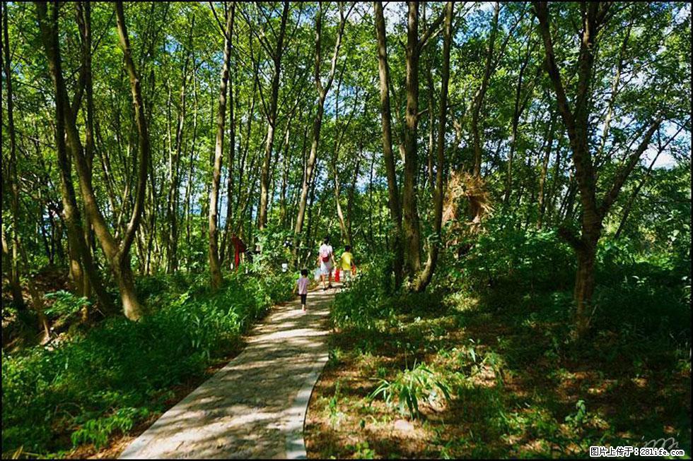 【春天，广西桂林灌阳县向您发出邀请！】熊家寨湿地公园 - 游山玩水 - 柳州生活社区 - 柳州28生活网 liuzhou.28life.net