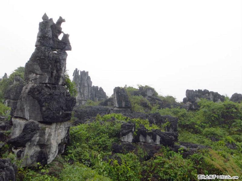 桂林旅游名城景点:灌阳文市石林 - 游山玩水 - 柳州生活社区 - 柳州28生活网 liuzhou.28life.net