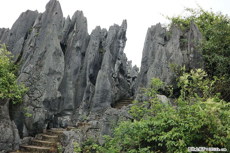 桂林旅游名城景点:灌阳文市石林 - 游山玩水 - 柳州生活社区 - 柳州28生活网 liuzhou.28life.net