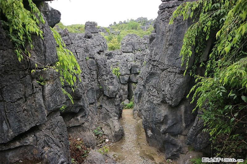 桂林旅游名城景点:灌阳文市石林 - 游山玩水 - 柳州生活社区 - 柳州28生活网 liuzhou.28life.net