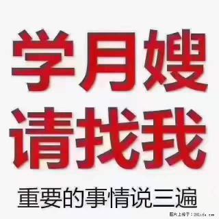 为什么要学习月嫂，育婴师？ - 柳州28生活网 liuzhou.28life.net