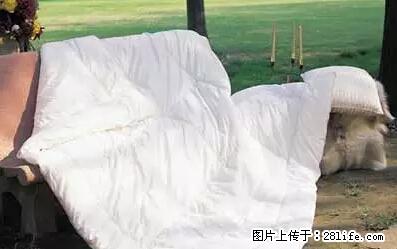 被子有异味？只要这样做，比晒太阳还强100倍！ - 家居生活 - 柳州生活社区 - 柳州28生活网 liuzhou.28life.net