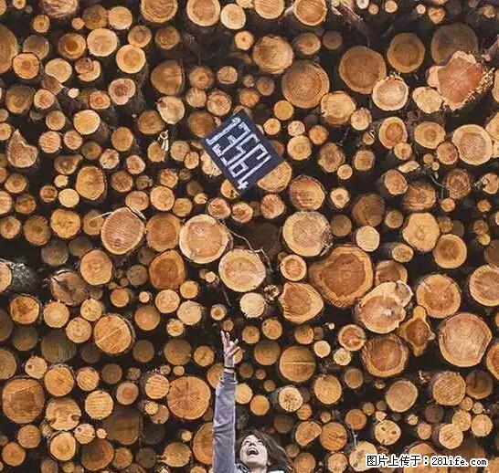辞掉工作周游世界？现在他们在洗厕所…… - 游山玩水 - 柳州生活社区 - 柳州28生活网 liuzhou.28life.net