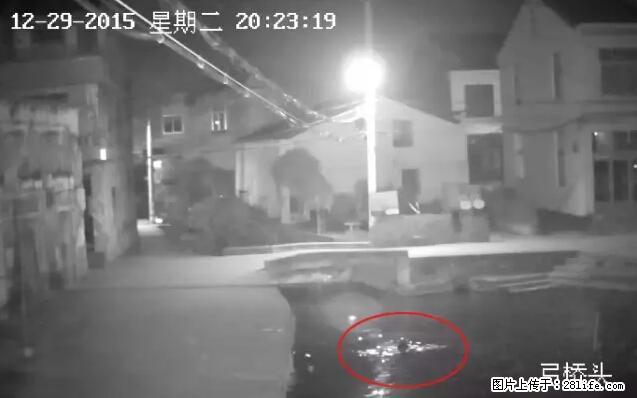 年轻妈妈低头玩手机被活活淹死！留下两个孩子… - 灌水专区 - 柳州生活社区 - 柳州28生活网 liuzhou.28life.net
