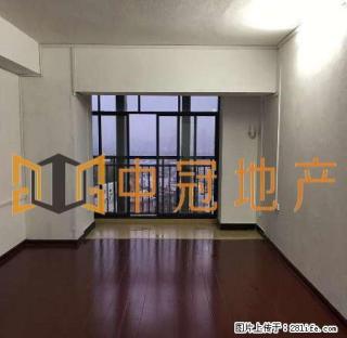 出租城中区步行街 风情港精装3房 办公美容首.选 手慢无 - 柳州28生活网 liuzhou.28life.net