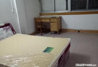 鹿山花苑精装2房出租，可拎包入住 - 柳州28生活网 liuzhou.28life.net