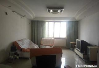 和平路文化区精装三房 租金便宜 - 柳州28生活网 liuzhou.28life.net