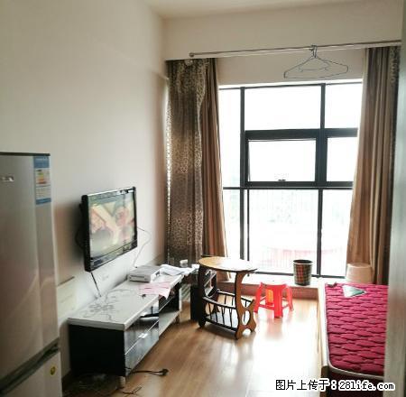 高新区彩虹城沃德梦想旁阳光100城市广场精装一房出租配套齐全 - 房屋出租 - 房屋租售 - 柳州分类信息 - 柳州28生活网 liuzhou.28life.net