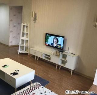 碧桂苑 全新精装3房 配置齐全 拎包入住 瞰景高层 - 柳州28生活网 liuzhou.28life.net