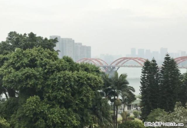 鱼峰区 河提边 江南新天地 全面江景房 办公佳地 有钥匙 随 - 房屋出租 - 房屋租售 - 柳州分类信息 - 柳州28生活网 liuzhou.28life.net