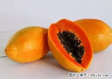 晕车、脚气、牙齿变黄、皮肤粗糙？学会这些三分钟搞定！ - 柳州生活资讯 - 柳州28生活网 liuzhou.28life.net