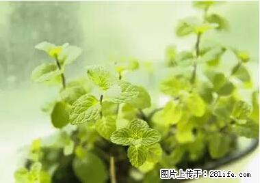 晕车、脚气、牙齿变黄、皮肤粗糙？学会这些三分钟搞定！ - 柳州生活资讯 - 柳州28生活网 liuzhou.28life.net