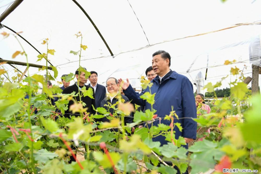习近平赴广西考察调研 - 柳州生活资讯 - 柳州28生活网 liuzhou.28life.net