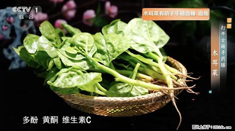 比牛奶补钙还厉害！凉血解毒、稳血糖...这菜冬天必吃，很多人却当草 - 柳州生活资讯 - 柳州28生活网 liuzhou.28life.net